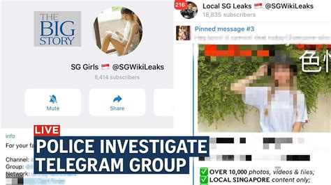 sg leak mega|Telegram group circulating obscene images allegedly。